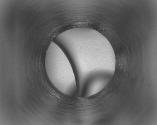 X0000051920662200507011601