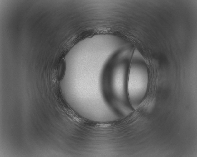 X0000051920665200507011601