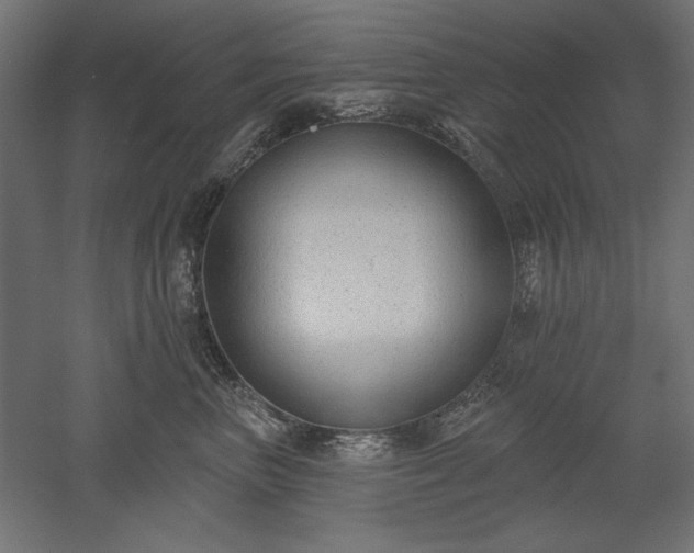 X0000051920667200507011601