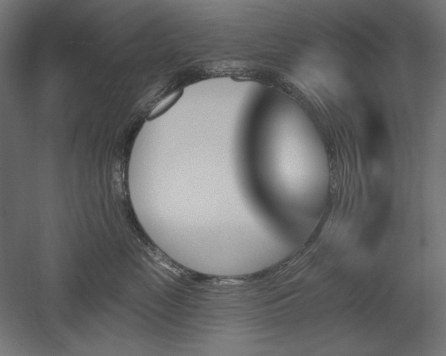 X0000051920669200507011601