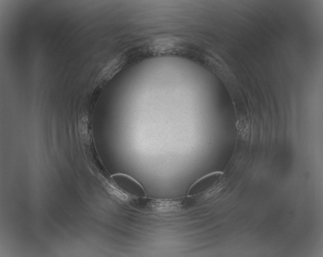 X0000051920670200507011601