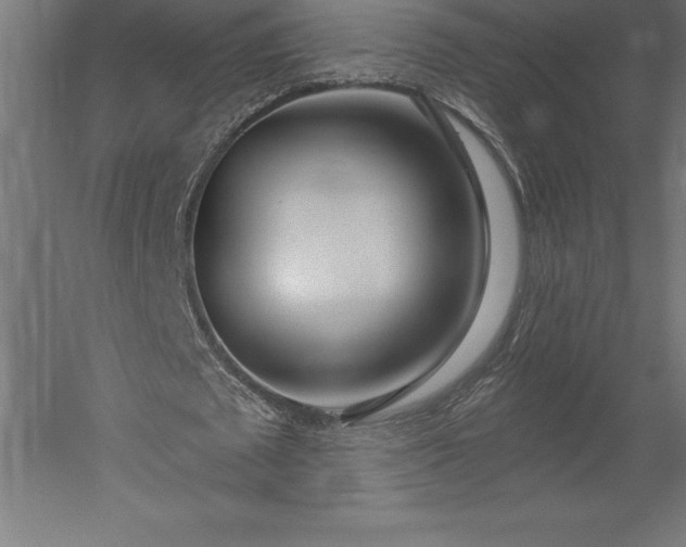 X0000051920673200507011600