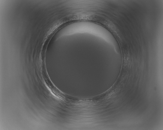 X0000051920674200507011600