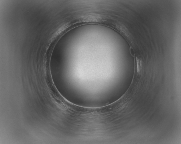 X0000051920675200507011600