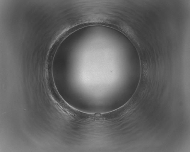 X0000051920676200507011600