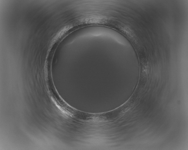 X0000051920678200507011600