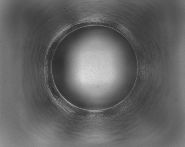 X0000051920680200507011600