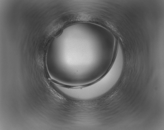 X0000051920681200507011600