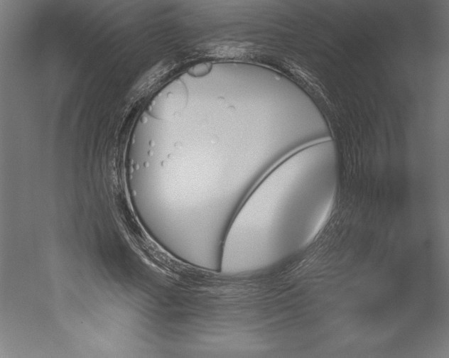 X0000051920682200507011600
