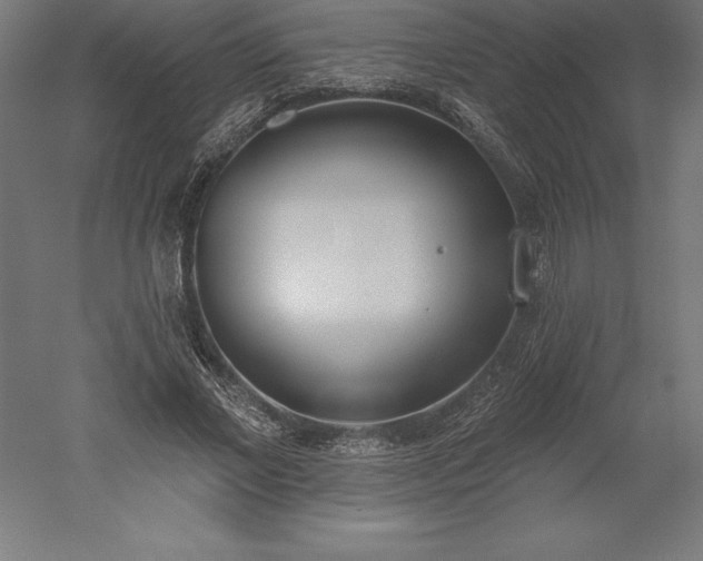 X0000051920685200507011600