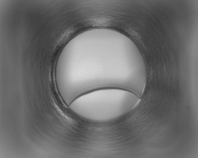 X0000051920686200507011600