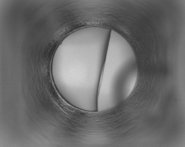 X0000051920687200507011600