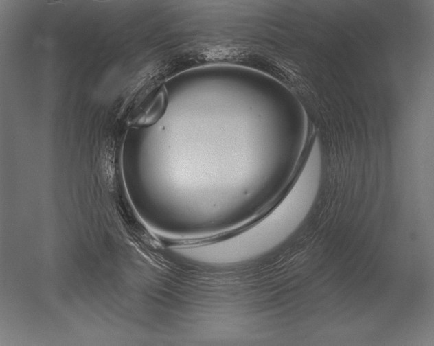 X0000051920691200507011600