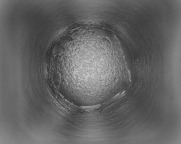 X0000051920692200507011600