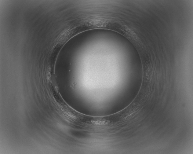 X0000051920693200507011600