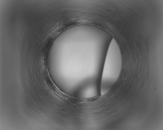 X0000051920696200507011600