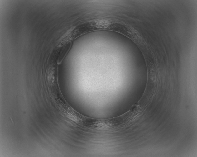 X0000051920697200507011600