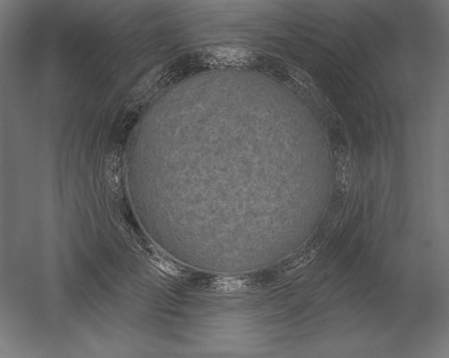 X0000051920701200507011600