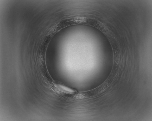 X0000051920704200507011600