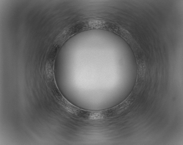X0000051920705200507011600