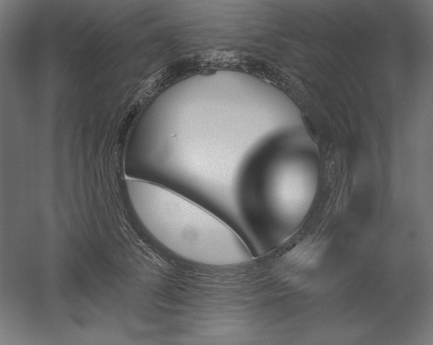 X0000051920708200507011600