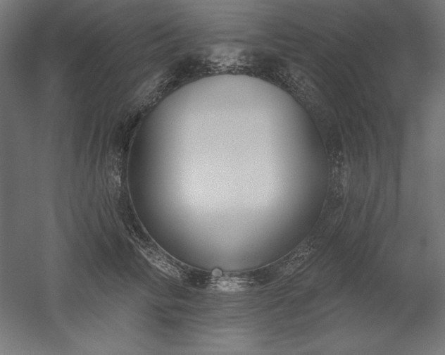 X0000051920710200507011600