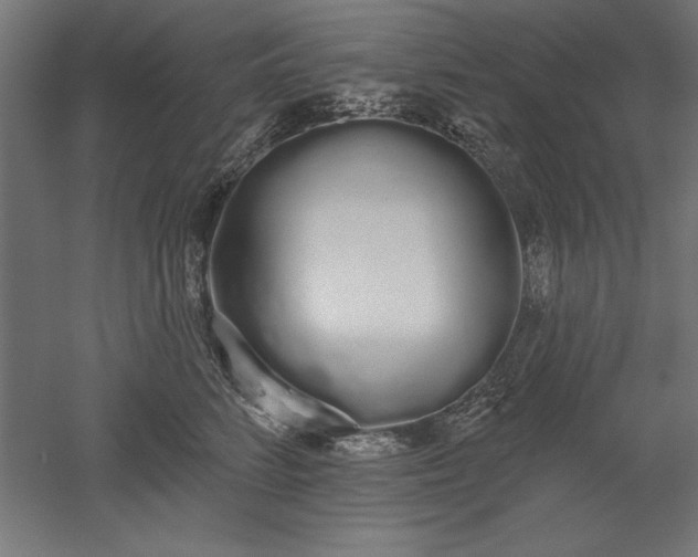 X0000051920712200507011600