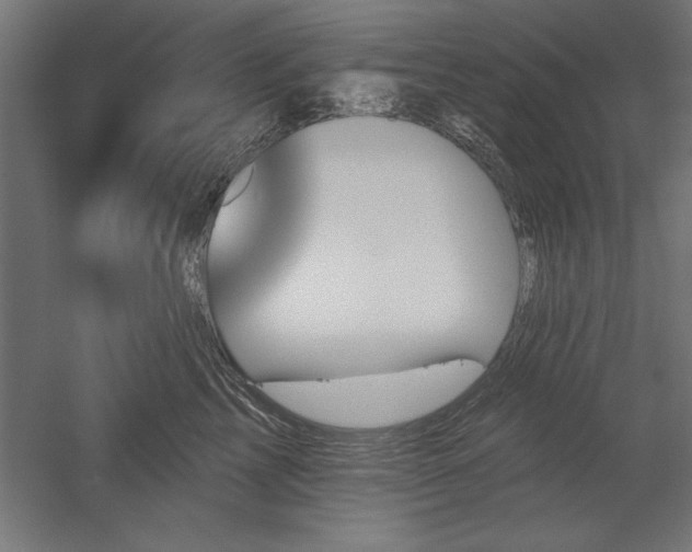 X0000051920713200507011600