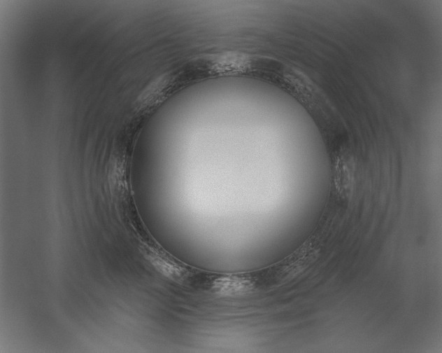 X0000051920714200507011600
