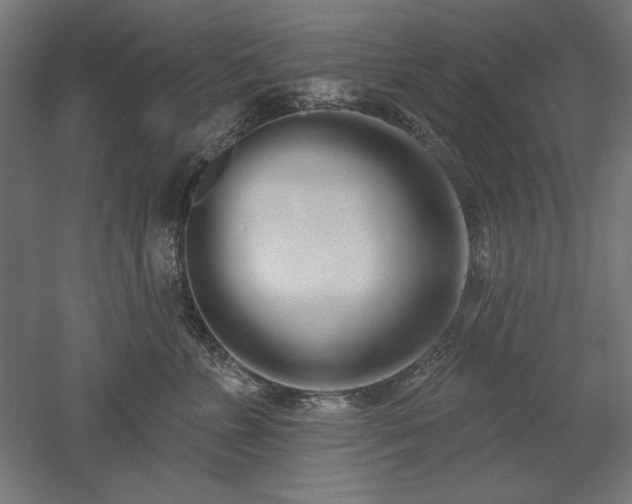 X0000051920715200507011600