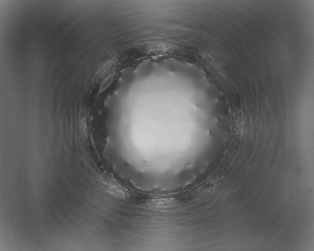 X0000051920716200507011600
