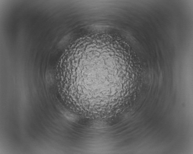 X0000051920718200507011600