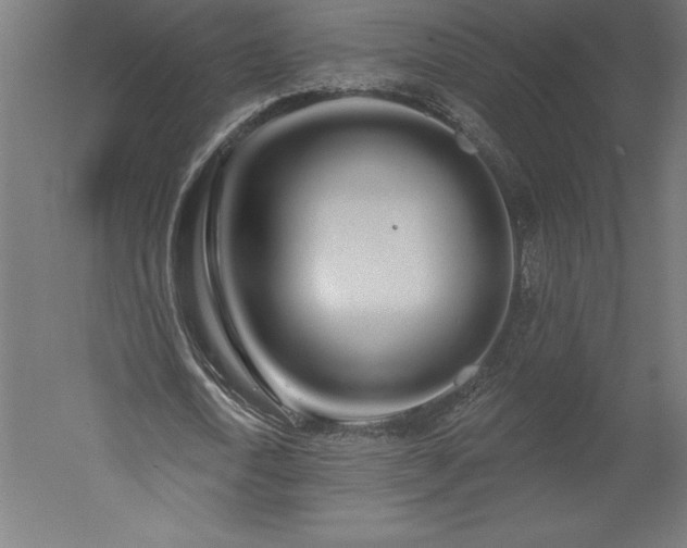 X0000051920722200507011559