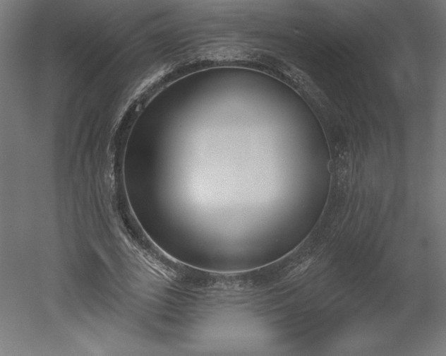 X0000051920727200507011559