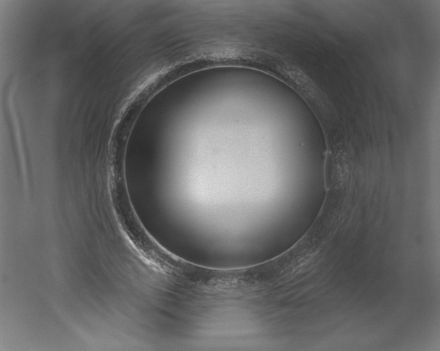X0000051920728200507011559