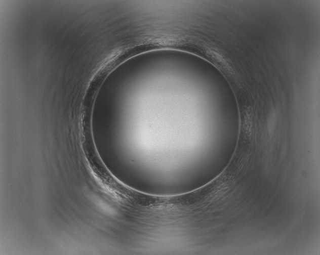 X0000051920730200507011559