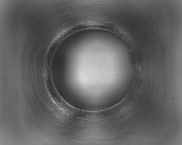 X0000051920732200507011559