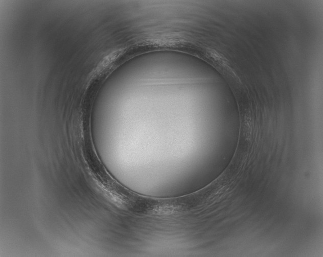 X0000051920734200507011559