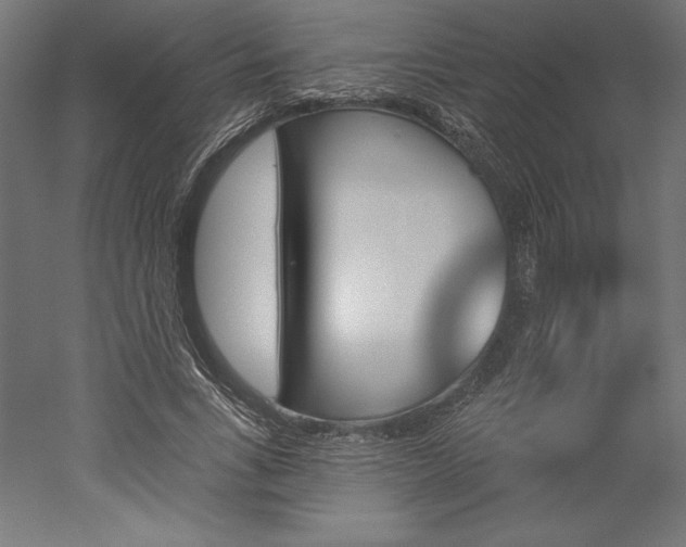 X0000051920735200507011559