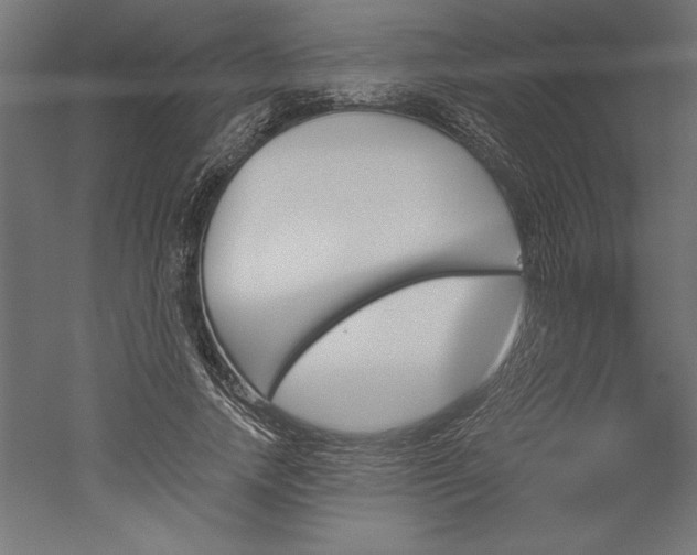 X0000051920738200507011559