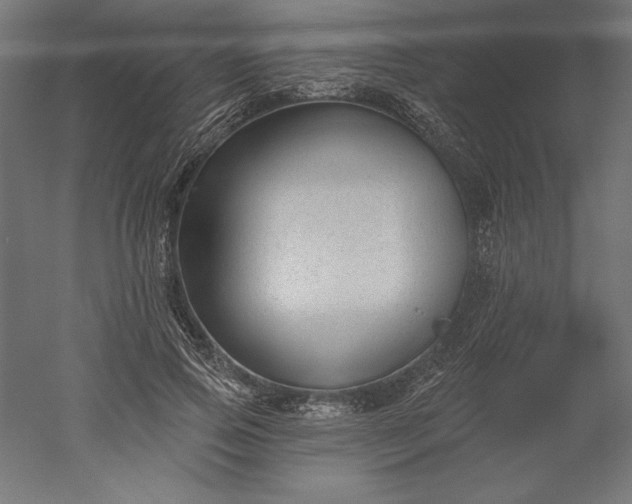 X0000051920741200507011559