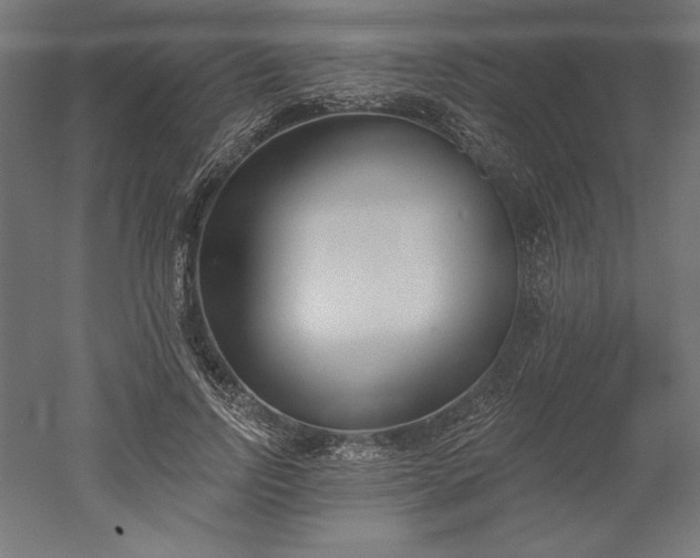 X0000051920742200507011559