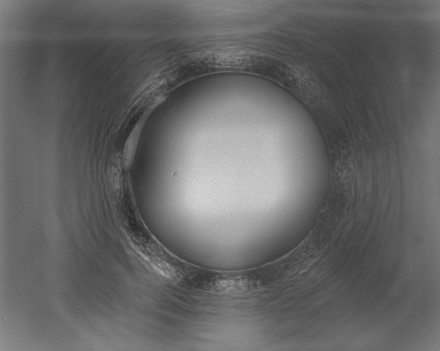 X0000051920744200507011559