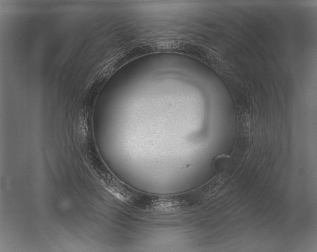 X0000051920746200507011559