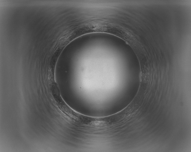 X0000051920748200507011559