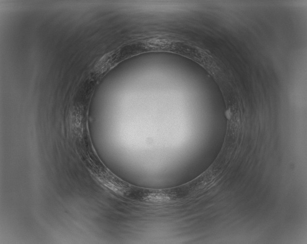 X0000051920749200507011559