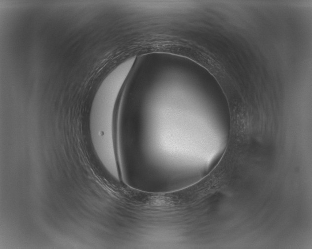 X0000051920750200507011559