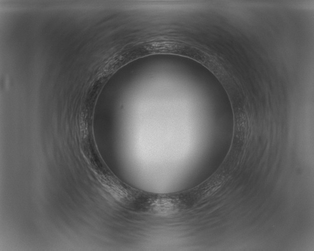 X0000051920751200507011559