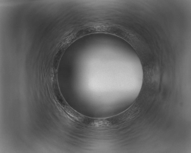 X0000051920752200507011559