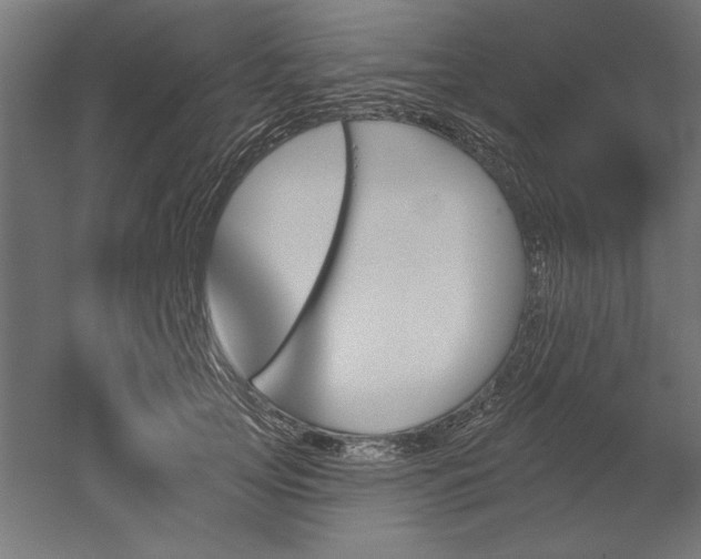 X0000051920753200507011559